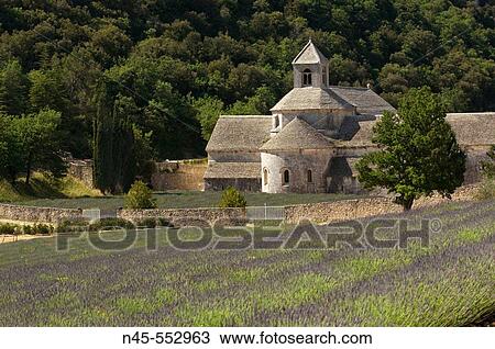 Blossoming lavender field and S? nanque abbey. Vaucluse, Provence. France. Foundation at 1148 View Large Photo Image Stock Image - Blossoming lavender field and S? nanque abbey. Vaucluse, Provence. France. Foundation at 1148. Fotosearch