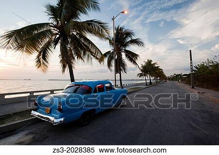 Stock Photography - Blue american vintage car with palm trees at the Malecon, Cienfuegos, Cuba, Americas.. Fotosearch