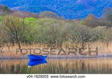 Blue boat on the Killarney Lake, Killarney National Park, County Kerry, Ireland, Europe View Large Photo Image Stock Image - Blue boat on the Killarney Lake, Killarney National Park, County Kerry, Ireland, Europe. Fotosearch