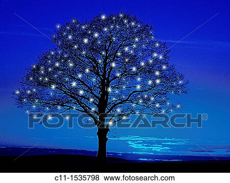 blue tree with fairy lights View Large Photo Image Stock Photo - blue tree with fairy lights. Fotosearch