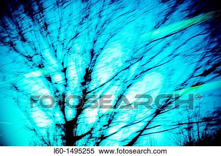 Stock Photography - Blurred tree in Belgium. Fotosearch