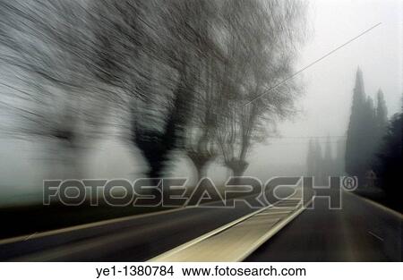 Blurry bare trees visible through the fog seen from a speeding car, Carpentras, Provence, France View Large Photo Image Picture - Blurry bare trees visible through the fog seen from a speeding car, Carpentras, Provence, France. Fotosearch