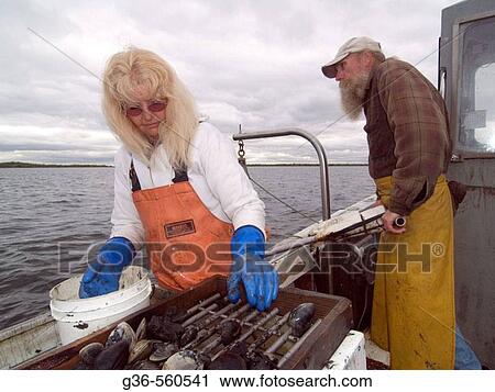 Stock Image - Bo Christenson and Donna J. Cote, R. I. Quahoggers, USA. Fotosearch