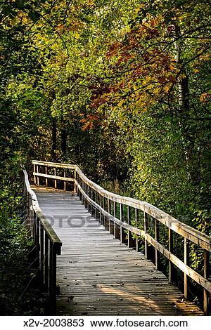 Board walk through forested area of Springbrook Nature Center. Springbrook Nature Center is a 127-acre park and nature reserve located in Fridley, Minnesota. View Large Photo Image Stock Image - Board walk through forested area of Springbrook Nature Center. Springbrook Nature Center is a 127-acre park and nature reserve located in Fridley, Minnesota.. Fotosearch
