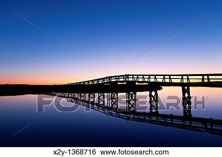 Boardwalk extending over the salt pond and marsh to the beach, Sandwich, Cape Cod View Large Photo Image Stock Photograph - Boardwalk extending over the salt pond and marsh to the beach, Sandwich, Cape Cod. Fotosearch