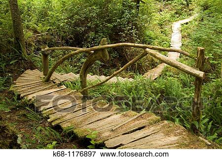 Stock Photo - boardwalk in forst, West Coast, Flores Island, British Columbia, Canada. Fotosearch