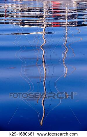 Boars reflected in Port McNeil Harbour water, Port McNeil, British Columbia, Canada View Large Photo Image Stock Image - Boars reflected in Port McNeil Harbour water, Port McNeil, British Columbia, Canada. Fotosearch