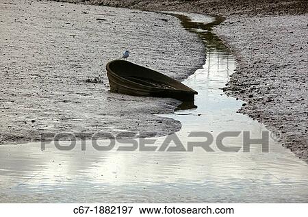 Boat wreck and gull tidal creek Brancaster Norfolk View Large Photo Image Stock Photo - Boat wreck and gull tidal creek Brancaster Norfolk. Fotosearch