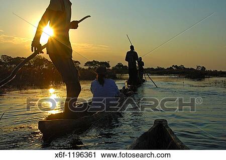 Boatmen with tourists in mokoro logboats on a sunset excursion in the Okavango Delta, Botswana View Large Photo Image Stock Image - Boatmen with tourists in mokoro logboats on a sunset excursion in the Okavango Delta, Botswana. Fotosearch