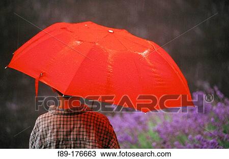 Stock Image - Bob under red umbrella in rain. Fotosearch