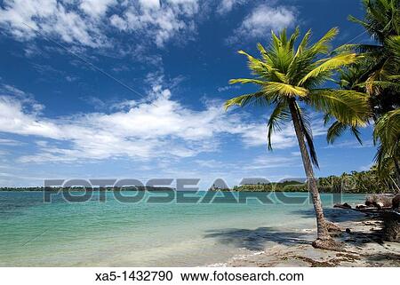 Bocas del Drago, Isla Colon, Bocas del Toro, Panama View Large Photo Image Stock Image - Bocas del Drago, Isla Colon, Bocas del Toro, Panama. Fotosearch