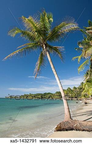 Stock Image - Bocas del Drago, Isla Colon, Bocas del Toro, Panama. Fotosearch