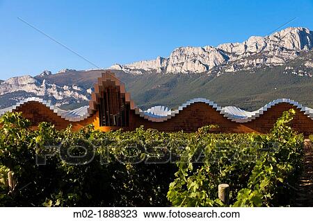 Bodegas Ysios wine cellar, built by Santiago Calatrava, Laguardia, Alava, Spain, Europe View Large Photo Image Stock Image - Bodegas Ysios wine cellar, built by Santiago Calatrava, Laguardia, Alava, Spain, Europe. Fotosearch