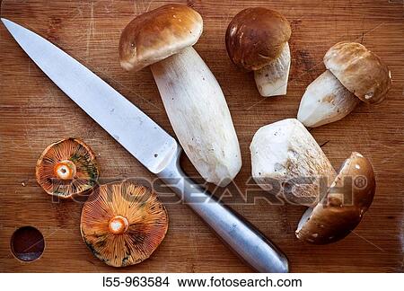 Boletus edulis, Lactarius deliciosus View Large Photo Image Picture - Boletus edulis, Lactarius deliciosus. Fotosearch