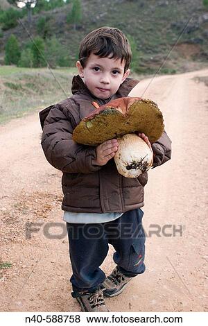 Boletus edulis View Large Photo Image Stock Photo - Boletus edulis. Fotosearch