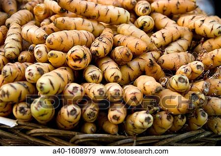 Bolivia. Fruit market in Cochabamba. Potatoes.? Papa Oca? Solanum Tuberosum. View Large Photo Image Stock Photo - Bolivia. Fruit market in Cochabamba. Potatoes.? Papa Oca? Solanum Tuberosum.. Fotosearch