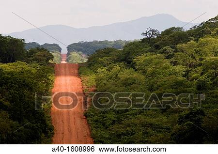 Stock Photograph - Bolivia. Santa Cruz department. Road in the tropical forest in Chiquitania.. Fotosearch