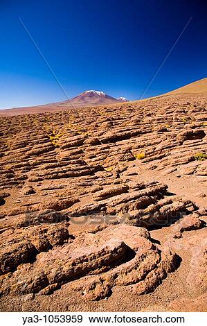Bolivia, Southern Altiplano Small plants cling for survival amid rock formations high in the desert plateau of the Bolivian Southern Altiplano View Large Photo Image Stock Photo - Bolivia, Southern Altiplano Small plants cling for survival amid rock formations high in the desert plateau of the Bolivian Southern Altiplano. Fotosearch