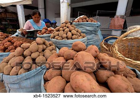 Bolivia, Sucre, market. View Large Photo Image Stock Photo - Bolivia, Sucre, market.. Fotosearch