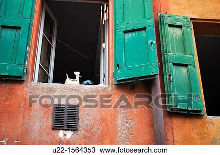 Stock Image - Bologna (Italy): old windows along via Santa Caterina. Fotosearch