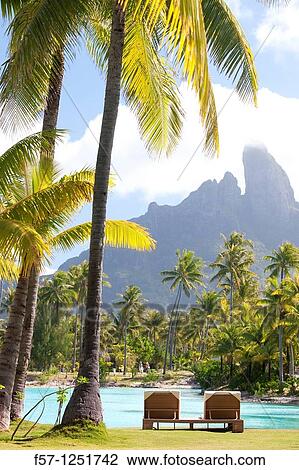 Bora Bora, French Polynesia View Large Photo Image Stock Image - Bora Bora, French Polynesia. Fotosearch