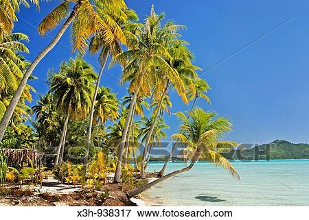 Stock Photo - Bora-Bora, iles de la Societe, archipel de la Polynesie francaise, ocean pacifique sud. Fotosearch