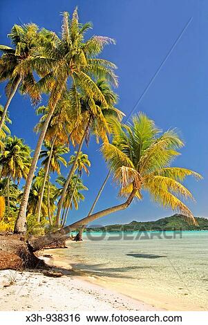 Stock Photograph - Bora-Bora, iles de la Societe, archipel de la Polynesie francaise, ocean pacifique sud. Fotosearch