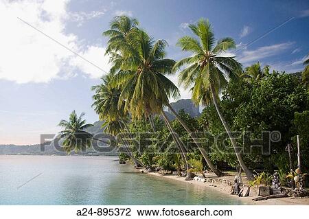 Bora Bora island, Society Islands, French Polynesia (May 2009) View Large Photo Image Stock Image - Bora Bora island, Society Islands, French Polynesia (May 2009). Fotosearch