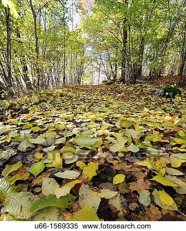 Stock Photography - Bornsjon Sodermanland Sweden.. Fotosearch