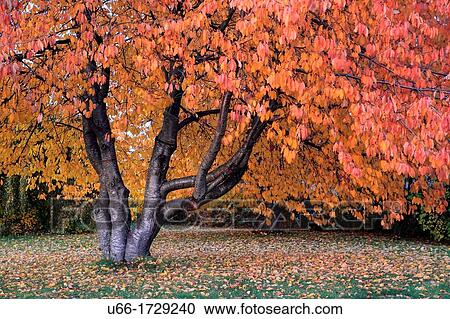Stock Image - Botkyrka Stockholm Sweden. Fotosearch