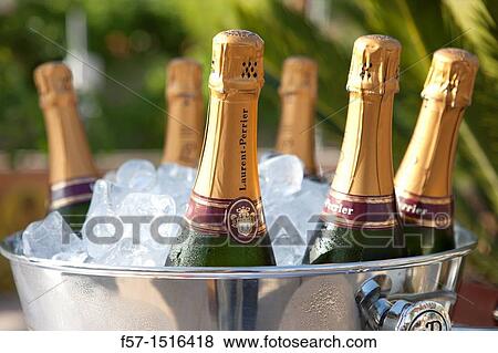 Bottles of champagne View Large Photo Image Stock Photo - Bottles of champagne. Fotosearch
