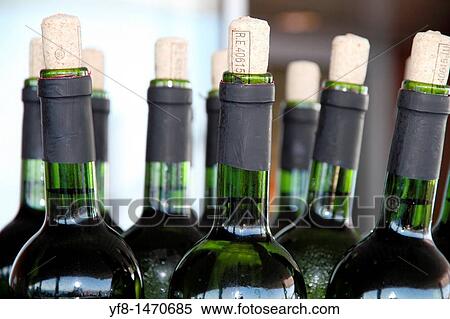 Bottles of wine View Large Photo Image Stock Photography - Bottles of wine. Fotosearch