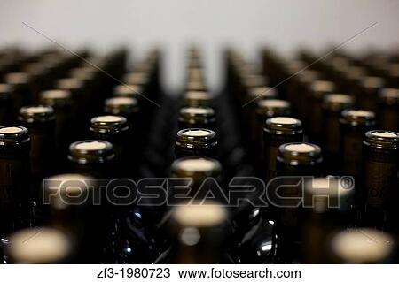 Bottles of wine stocked in a cellar. View Large Photo Image Stock Image - Bottles of wine stocked in a cellar.. Fotosearch