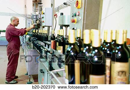 Bottling plant at winery.? lava, Rioja alavesa. Spain View Large Photo Image Stock Image - Bottling plant at winery.? lava, Rioja alavesa. Spain. Fotosearch