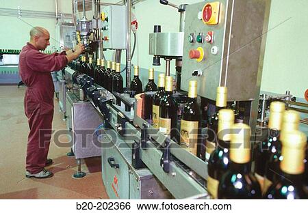 Bottling plant at winery.? lava, Rioja alavesa. Spain View Large Photo Image Stock Photograph - Bottling plant at winery.? lava, Rioja alavesa. Spain. Fotosearch