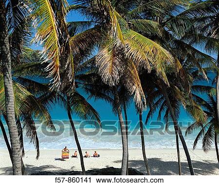 Bottom Bay, Barbados View Large Photo Image Stock Image - Bottom Bay, Barbados. Fotosearch