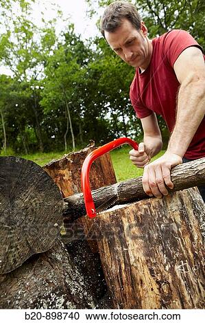 Bow saw to cut wood, hand tool, farming, Guipuzcoa, Basque Country, Spain View Large Photo Image Stock Image - Bow saw to cut wood, hand tool, farming, Guipuzcoa, Basque Country, Spain. Fotosearch