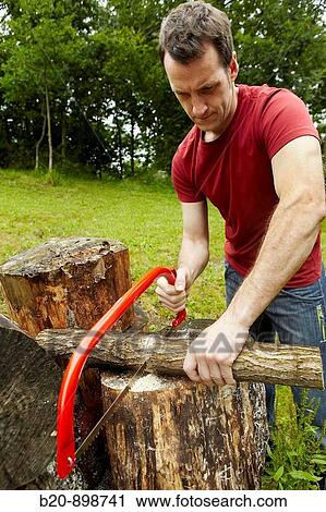 Bow saw to cut wood, hand tool, farming, Guipuzcoa, Basque Country, Spain View Large Photo Image Stock Image - Bow saw to cut wood, hand tool, farming, Guipuzcoa, Basque Country, Spain. Fotosearch