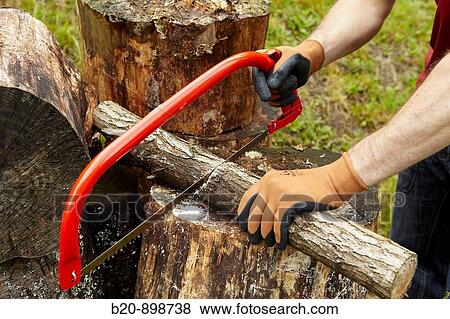 Bow saw to cut wood, hand tool, farming, Guipuzcoa, Basque Country, Spain View Large Photo Image Stock Photo - Bow saw to cut wood, hand tool, farming, Guipuzcoa, Basque Country, Spain. Fotosearch