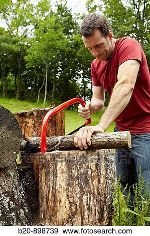 Bow saw to cut wood, hand tool, farming, Guipuzcoa, Basque Country, Spain View Large Photo Image Stock Photo - Bow saw to cut wood, hand tool, farming, Guipuzcoa, Basque Country, Spain. Fotosearch