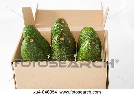 box, avocados View Large Photo Image Picture - box, avocados. Fotosearch