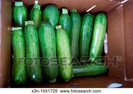 Stock Photo - Box of zucchini. Fotosearch