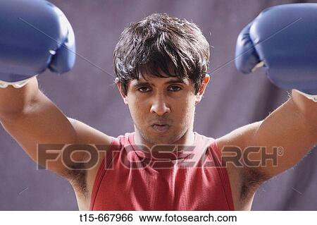 boxer in triumph View Large Photo Image Stock Photograph - boxer in triumph. Fotosearch