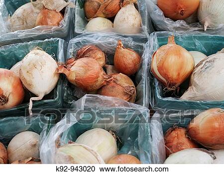 Boxes of onions and shallots View Large Photo Image Stock Image - Boxes of onions and shallots. Fotosearch