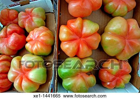 Stock Photography - boxes of tomatoes. Fotosearch