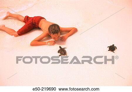 Stock Image - Boy (12 yrs) looking at Hawksbill Turtles. Maldives. Fotosearch