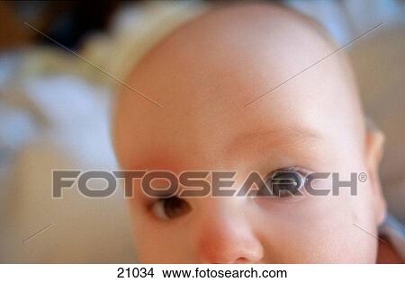 Picture - Boy, 6 months old. Fotosearch