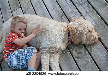 Boy age 4 resting on family pet Goldendoodle crossbreed dog. Clitherall Minnesota MN USA. View Large Photo Image Stock Photograph - Boy age 4 resting on family pet Goldendoodle crossbreed dog. Clitherall Minnesota MN USA.. Fotosearch