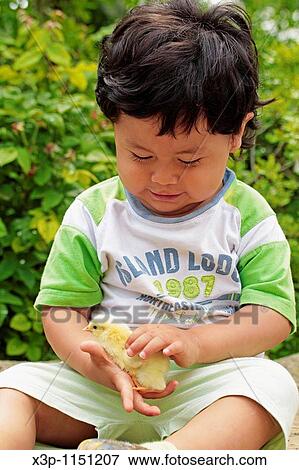 Stock Photo - Boy and chick. Fotosearch
