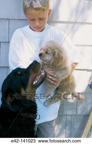 Stock Image - Boy and dogs. Fotosearch